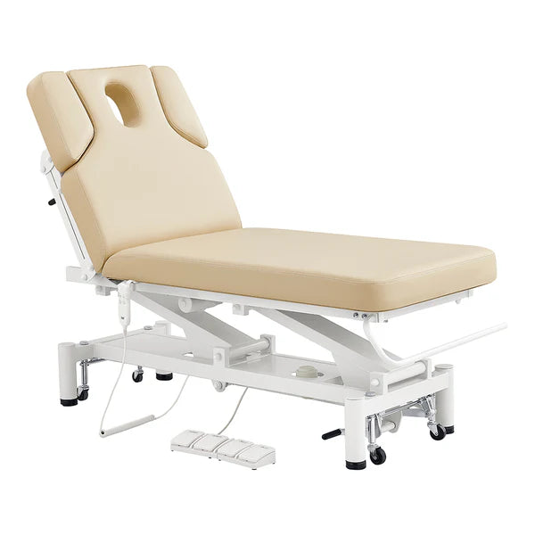 VitalEarth 2-Motors Treatment Table and Wellness Therapy Bed