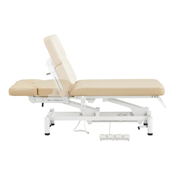 VitalEarth 2-Motors Treatment Table and Wellness Therapy Bed