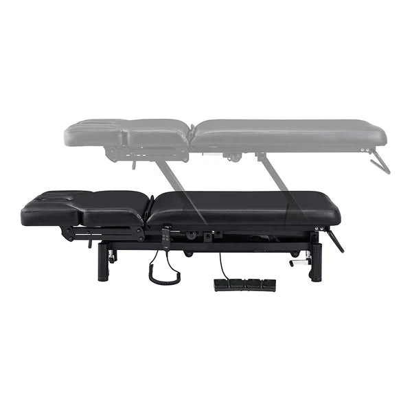 VitalEarth 2-Motors Treatment Table and Wellness Therapy Bed