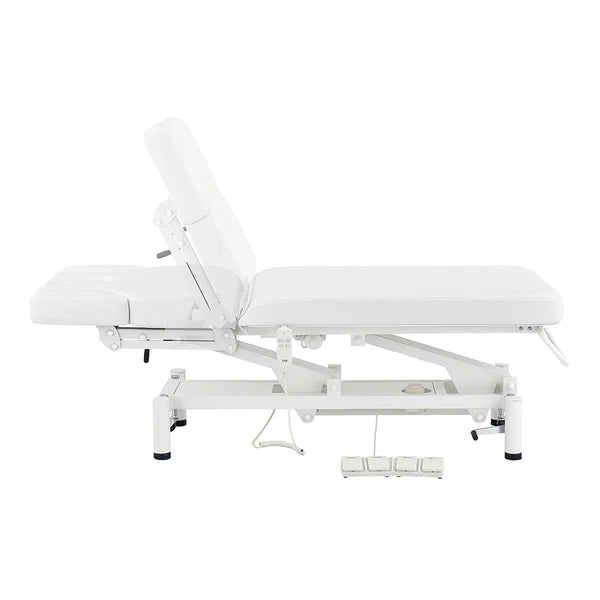 VitalEarth 2-Motors Treatment Table and Wellness Therapy Bed