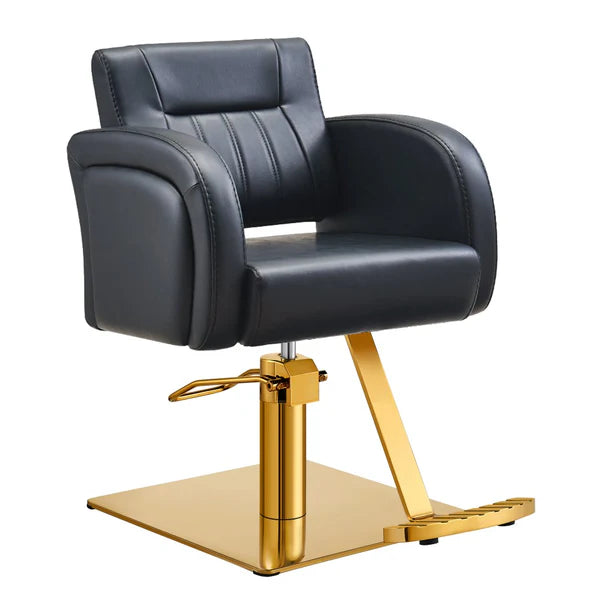 Anodic Salon Styling Chairs