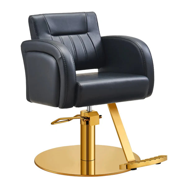 Anodic Salon Styling Chairs