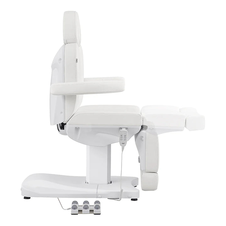 Ink 3-Motors Medical Spa Chair