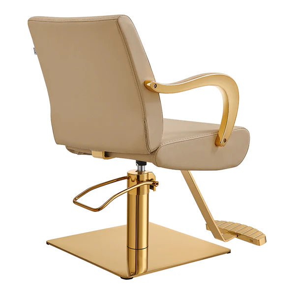 Meteor Gold Salon Styling Chair