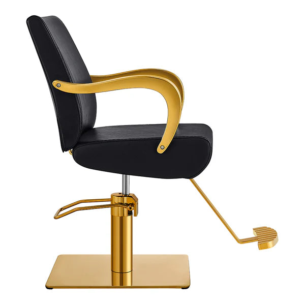 Meteor Gold Salon Styling Chair