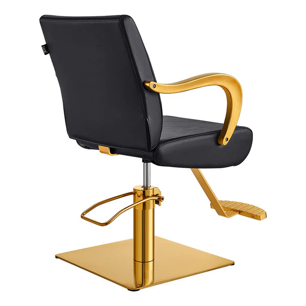 Meteor Gold Salon Styling Chair