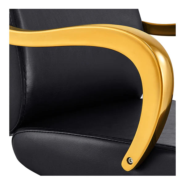Meteor Gold Salon Styling Chair