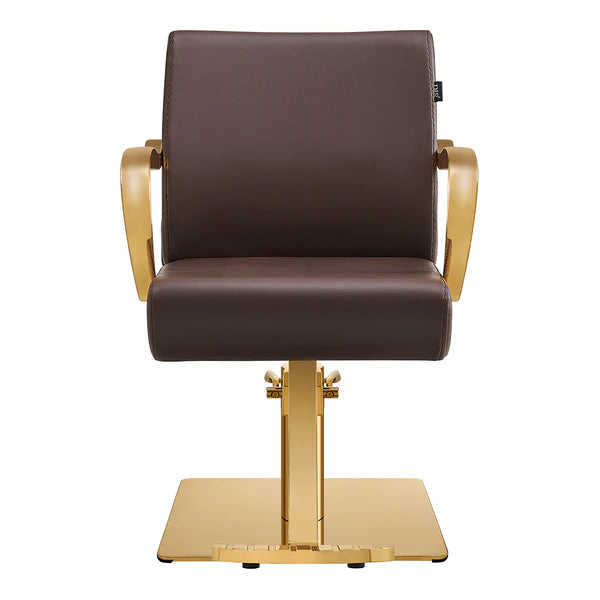 Meteor Gold Salon Styling Chair