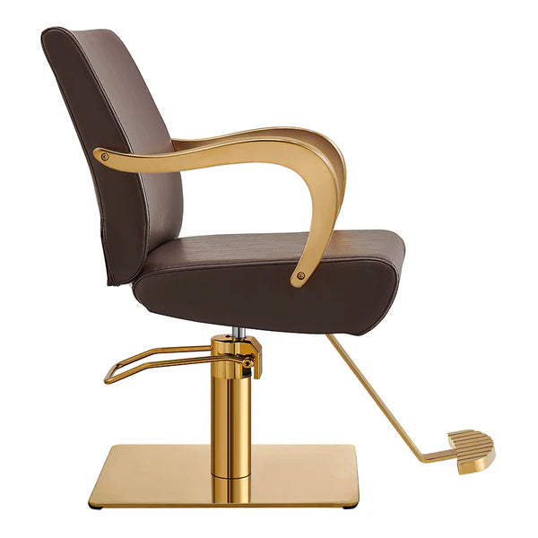 Meteor Gold Salon Styling Chair