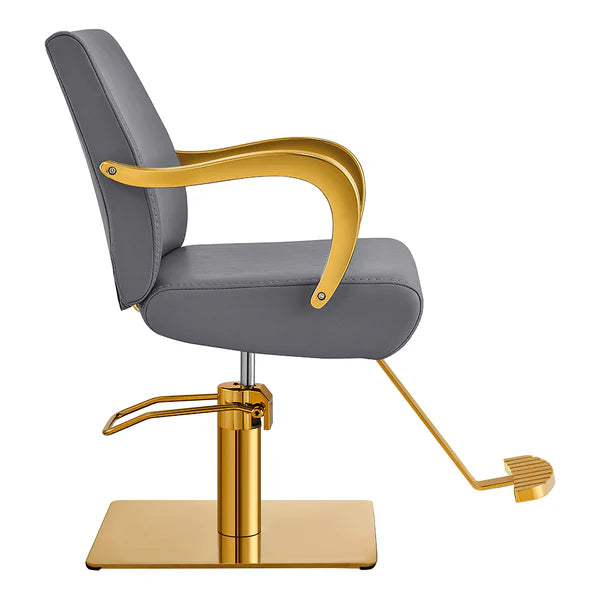 Meteor Gold Salon Styling Chair