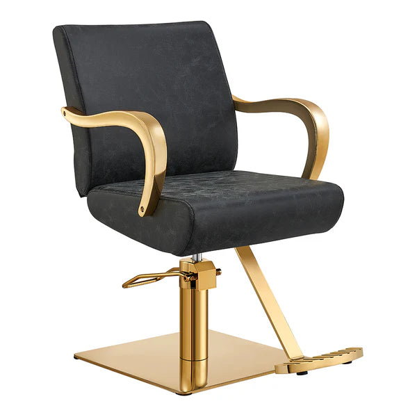 Meteor Gold Salon Styling Chair