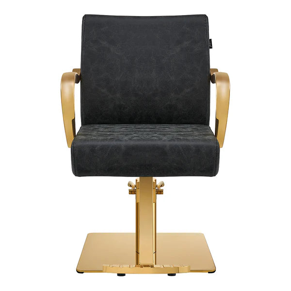 Meteor Gold Salon Styling Chair