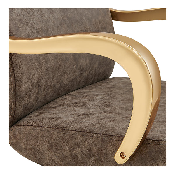 Meteor Gold Salon Styling Chair