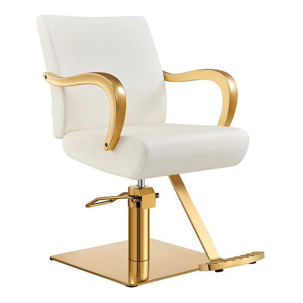 Meteor Gold Salon Styling Chair