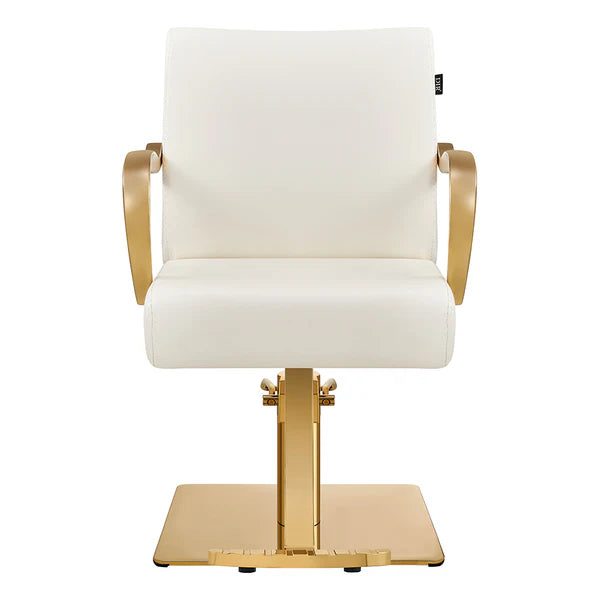 Meteor Gold Salon Styling Chair