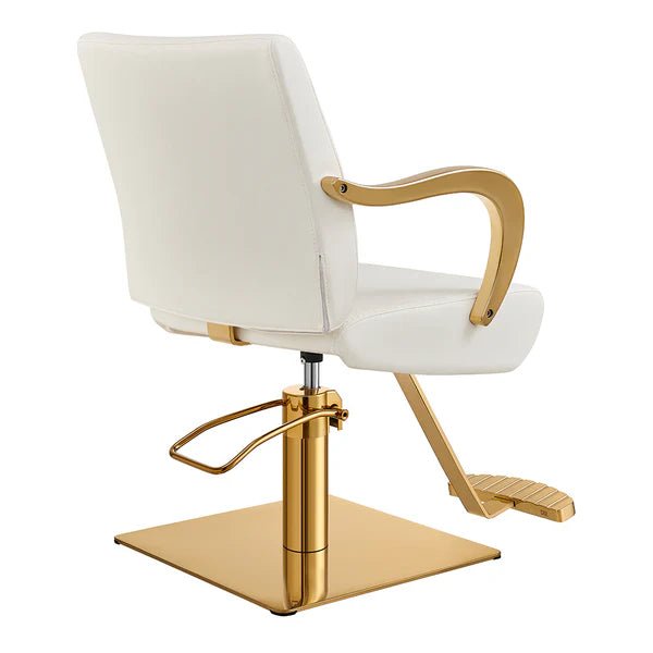 Meteor Gold Salon Styling Chair