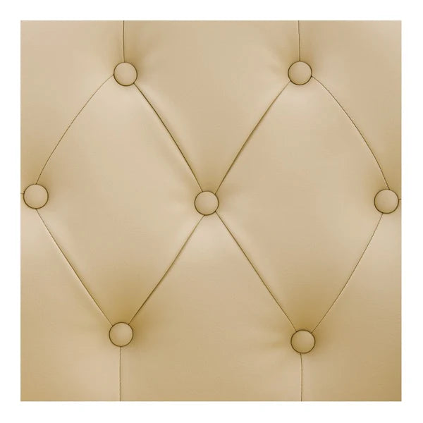 Noir Reclining Hydraulic Salon Chair