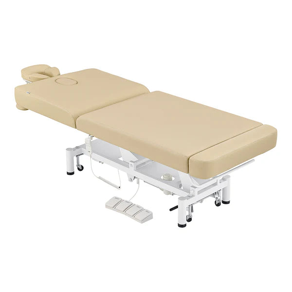 WellRelax 2-Motors Therapy Treatment Table with Tilting Cradle Pillow
