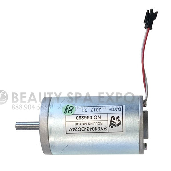 WS - Caresst DC Motor